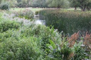 Bibury to Coln St Aldwyns Walk