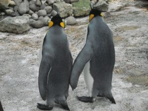Birdland Park & Gardens