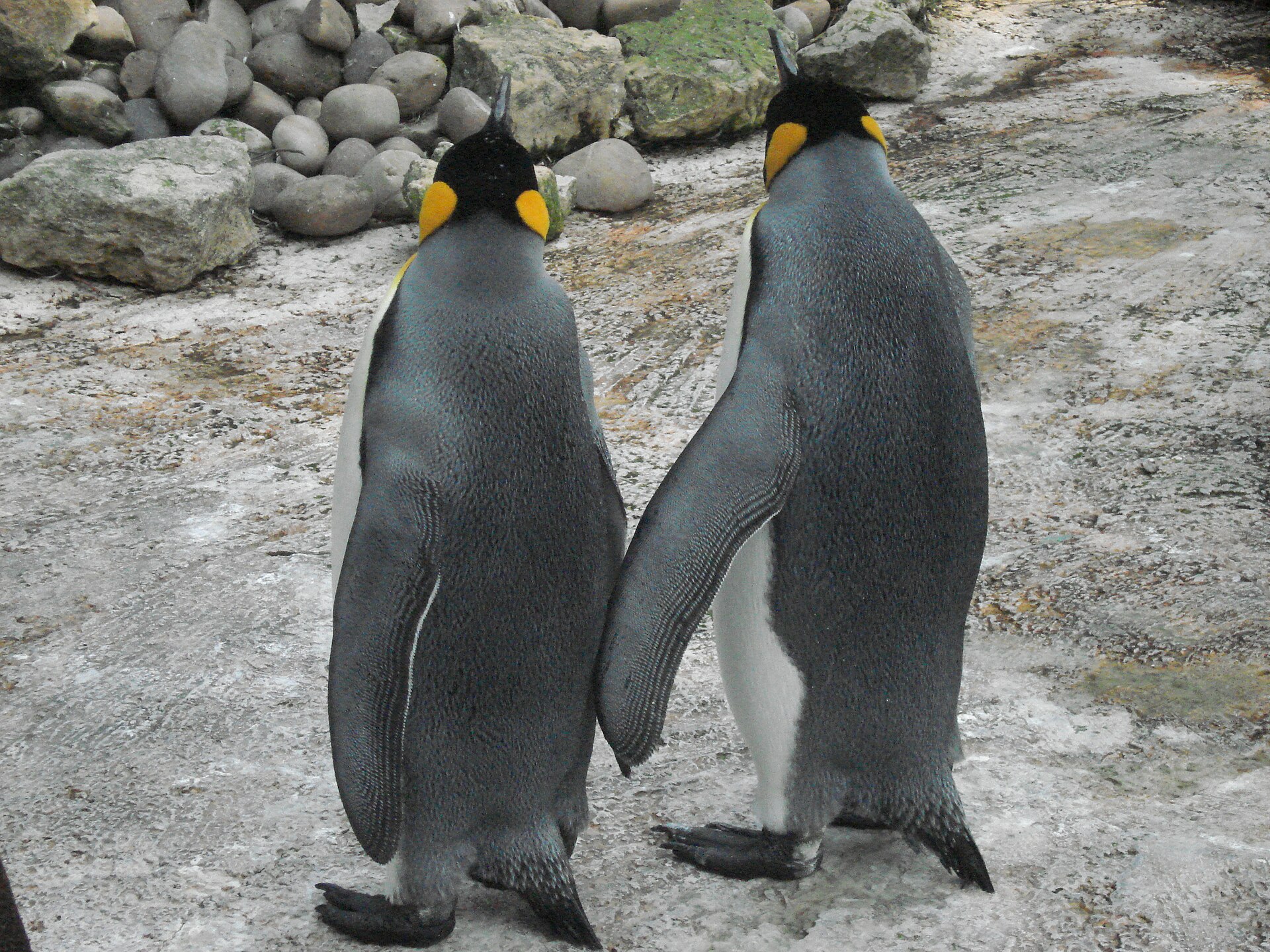 Birdland Park & Gardens
