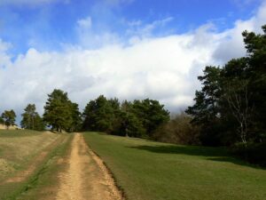 Cotswold Way: Painswick Section