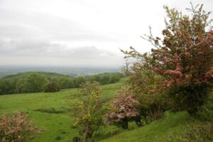 Dover’s Hill