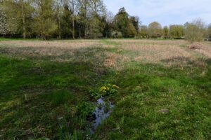 Rack Isle Nature Reserve