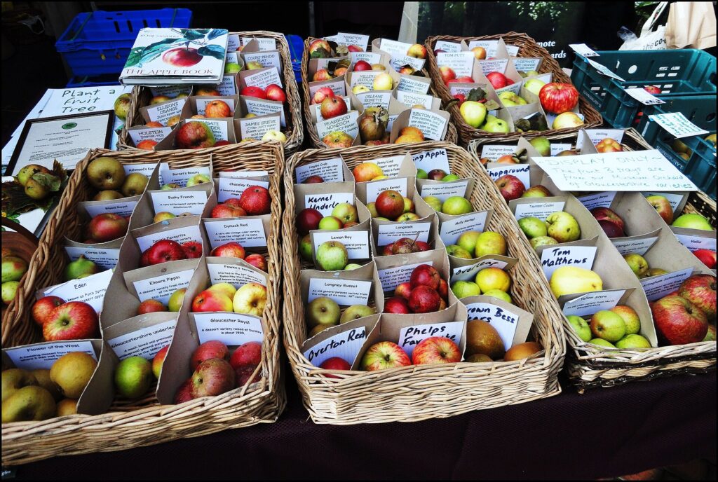 Stroud Farmers Market produce
