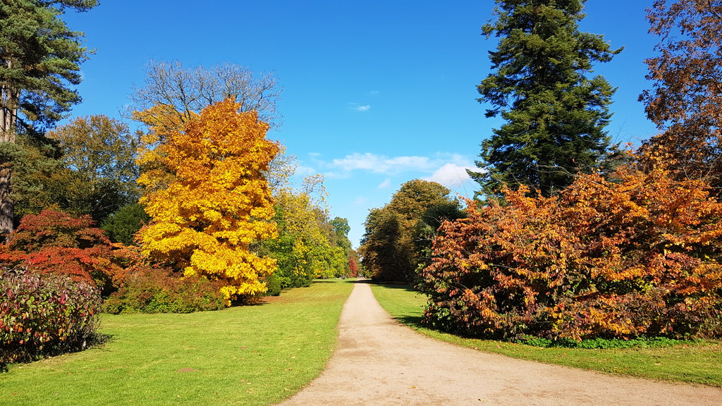 Family day out at Westonbirt and Tetbury
