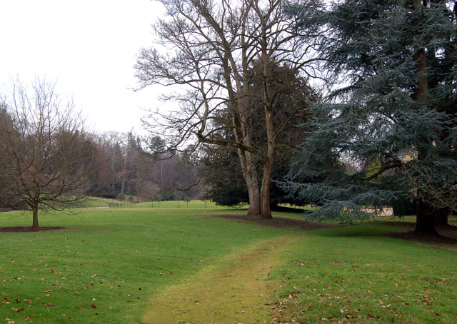 Japanese-inspired woodland planting at Batsford Arboretum